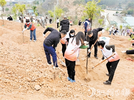 2025年蓬江區(qū)鄉(xiāng)村綠化主題植樹活動在五洞村舉行，黨員群眾攜手種下一棵棵樹苗。