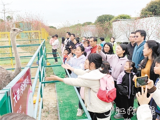 孩子們近距離觀察各類鳥禽。