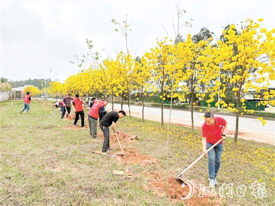 宅梧鎮(zhèn)組織開展植樹活動。