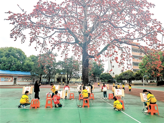 古井小學(xué)國畫社團(tuán)組織學(xué)生在校園木棉樹下畫木棉花。