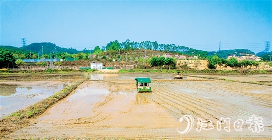 松土機(jī)、插秧機(jī)在集中連片的水田里來回穿梭。