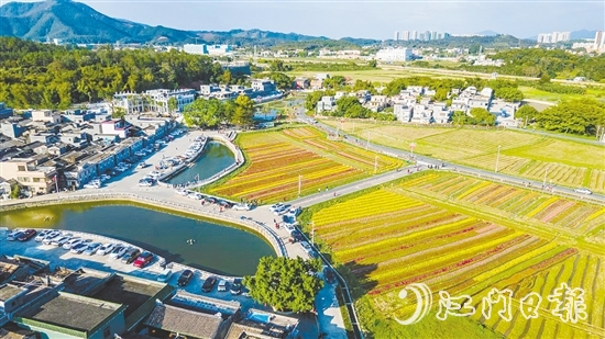 春賞格?；?、夏觀荷塘月、秋品稻花香、冬聞桂花釀的“全季旅游”模式，讓桂水村的知名度不斷攀升。