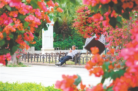 影視劇《棋士》曾在東湖公園取景。