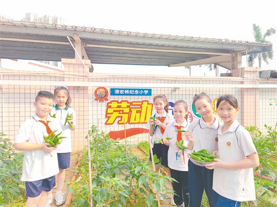 學(xué)生們?cè)凇靶腋＾r(nóng)場(chǎng)”全程參與從播種到收獲的勞動(dòng)過(guò)程。