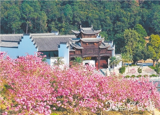 共和鎮(zhèn)來蘇村利用去年擂臺比武獲得的獎勵資金進行一系列鄉(xiāng)村建設。圖為來蘇山水人家文旅項目。