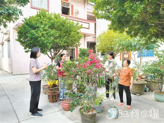 江海區(qū)鄉(xiāng)村綠化工作深入人心。圖為禮樂街道駐新華村干部、村“兩委”干部入戶開展鄉(xiāng)村綠化評分。