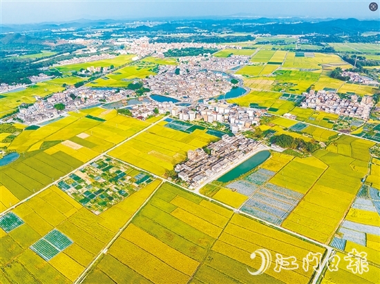 恩平土壤肥沃，富含“硒”元素，該市正努力推動讓“硒”資源轉(zhuǎn)化為富民強(qiáng)市的“硒”經(jīng)濟(jì)。圖為恩平市牛江鎮(zhèn)。
