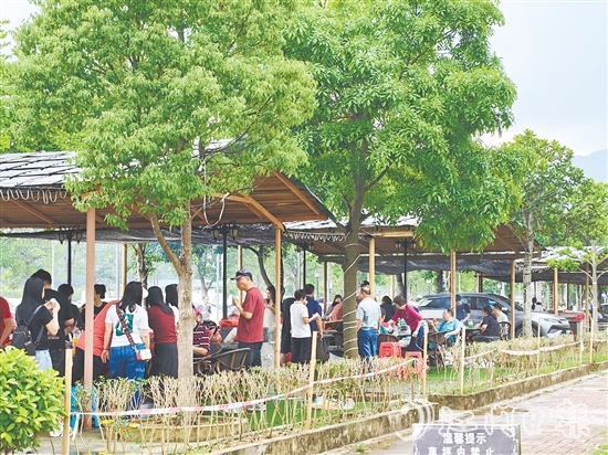 今年“五一”假期，恩平市簕菜文化創(chuàng)意園內(nèi)游人如織。