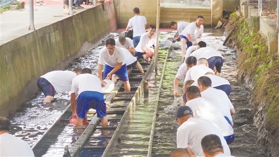 外海街道龍舟“起龍”現(xiàn)場。