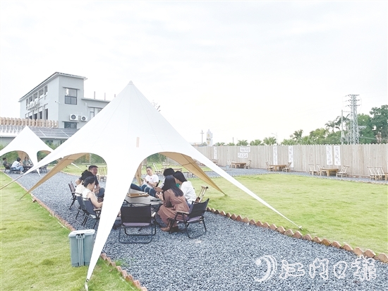 聞著稻香喝咖啡、住民宿，成為不少城市人放松身心的選擇。