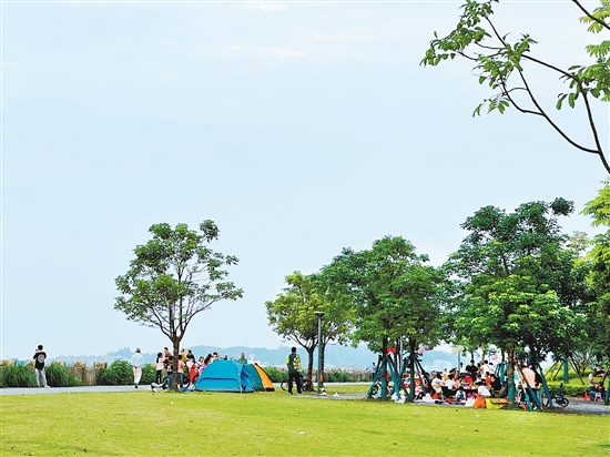 每到周末及節(jié)假日，江門各大公園及露營地成為親子野餐露營的首選之地。