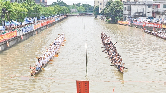扒丁們在比賽中奮力劃槳。