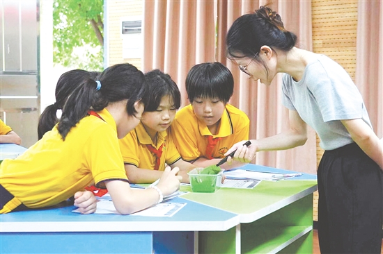 在古勞鎮(zhèn)連南小學(xué)的科學(xué)課上，學(xué)生們化身為“小小科學(xué)家”，認(rèn)真觀察并仔細(xì)記錄蠶的生長(zhǎng)變化。