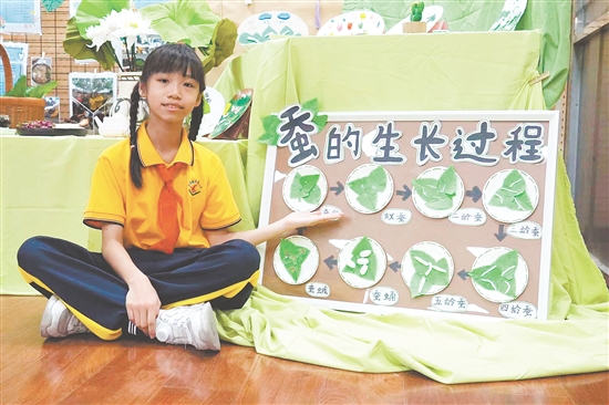 美術(shù)課上，學(xué)生在教師的指導(dǎo)下創(chuàng)作《蠶的一生》主題繪本。