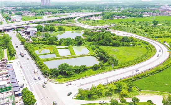 近年來，水步鎮(zhèn)先后投入約500萬元用于周邊廊道建設(shè)。