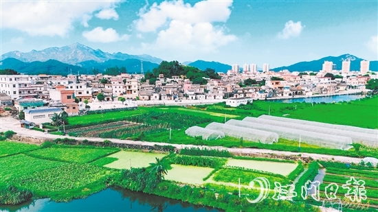 汶村鎮(zhèn)沙奇村通過深耕特色農(nóng)業(yè)、強(qiáng)化黨建引領(lǐng)、創(chuàng)新基層治理，實現(xiàn)從“臟亂差”到“綠富美”的華麗蝶變。