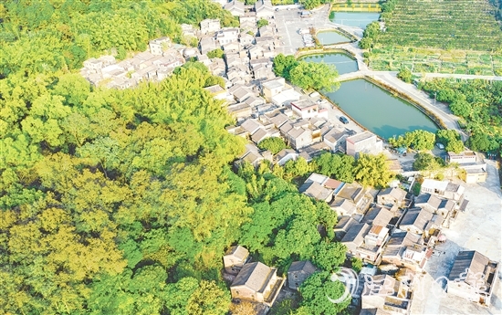 大江鎮(zhèn)石橋村華僑資源豐富，村內(nèi)有成片僑房形成的僑韻景觀。