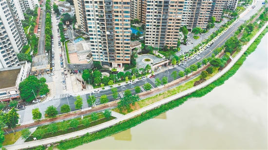 實施改造工程后，桂香路變?yōu)殡p向兩車道，并鋪上瀝青罩面，讓車輛通行更加順暢。