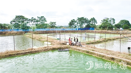 養(yǎng)殖基地毗鄰鶴城鎮(zhèn)三堡河，水源充沛，水質(zhì)優(yōu)良。