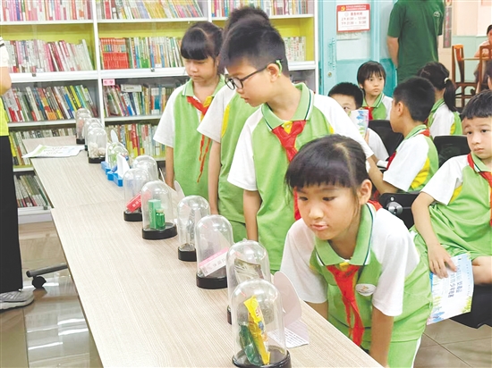 學(xué)生們有序參觀毒品仿真模型。