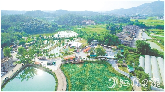 臺(tái)城街道依托“百千萬(wàn)工程”，立足生態(tài)休閑旅游定位，推動(dòng)桂水村農(nóng)文旅商融合發(fā)展，培育壯大“賞花經(jīng)濟(jì)”和農(nóng)村集體經(jīng)濟(jì)。