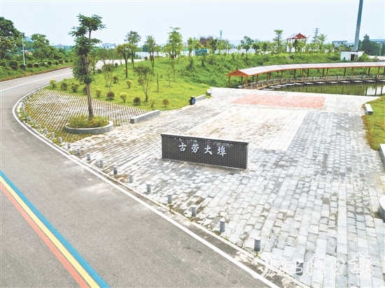 古勞鎮(zhèn)大埠村開展“三綠行動”，推動鄉(xiāng)村綠化工作走深走實。