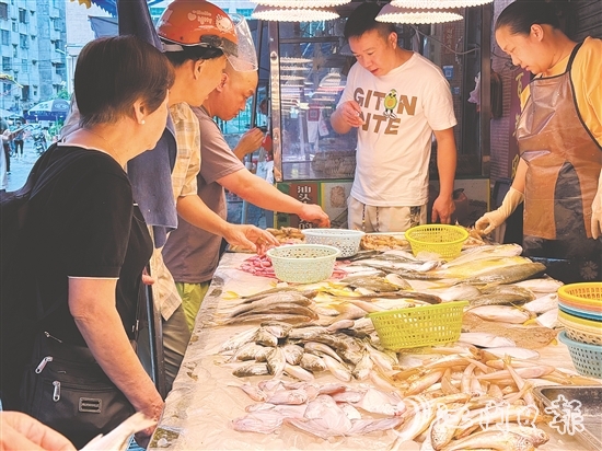 肥美的時令海鮮大量上市，價格較休漁期有所下降，吸引眾多游客、市民搶購嘗鮮。