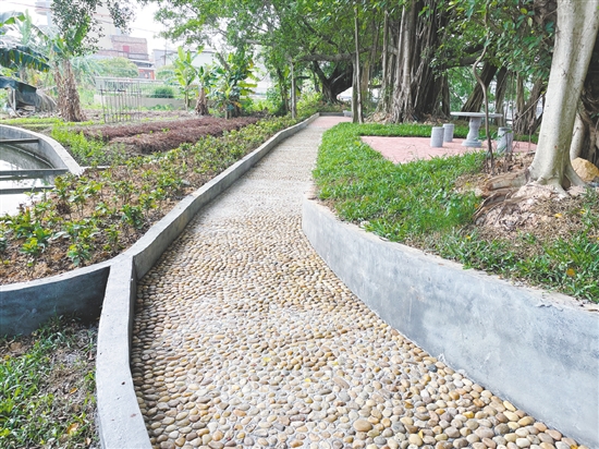 恩平自然村公園里裝設(shè)了石凳、石桌、鵝卵石健身路等設(shè)施，為村民提供更多的文化活動選擇。