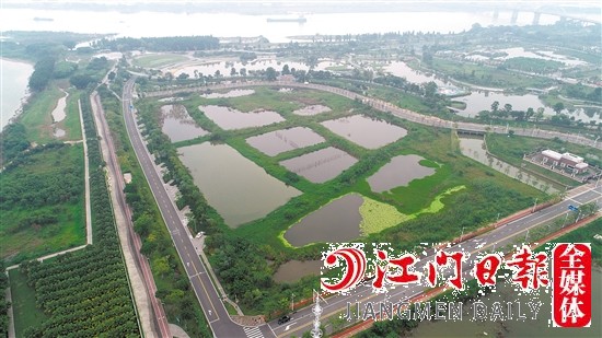 蓬江18號(hào)地實(shí)景圖。