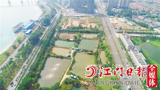 濱江大道旁地塊實景圖。