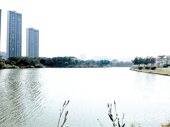近年來，江門居住環(huán)境越來越好。