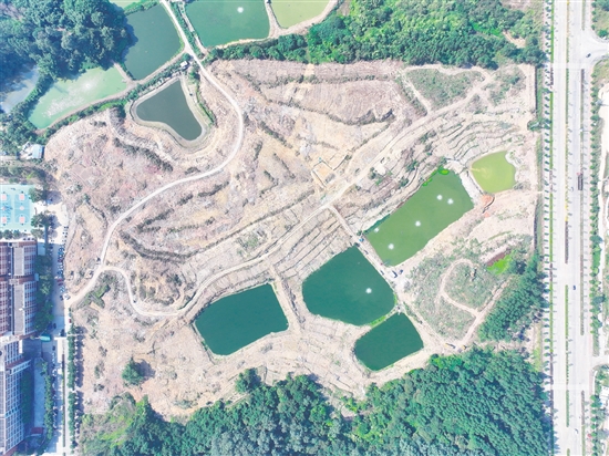 本次競拍的蓬江24、25、26號地為相連地塊。