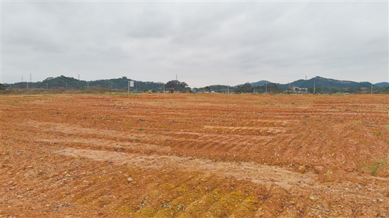 該地塊位于新會區(qū)江睦新能源雙碳產(chǎn)業(yè)園新中公路北側(cè)、勝利南路南延線西側(cè)。