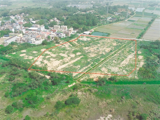 江門市JCR2025-55（臺(tái)山07）號(hào)地。