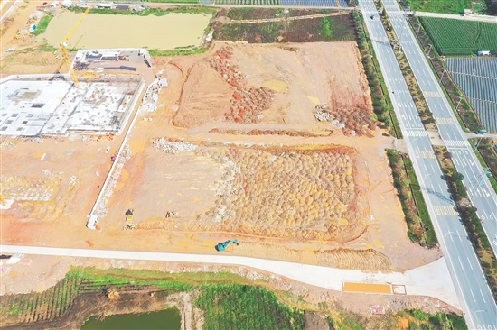 江門市JCR2025-65（開平06）號地。