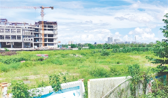 江門市JCR2025-100（新會18）號地。