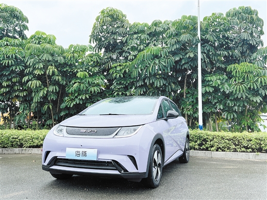 2023款海豚外觀及內(nèi)飾。